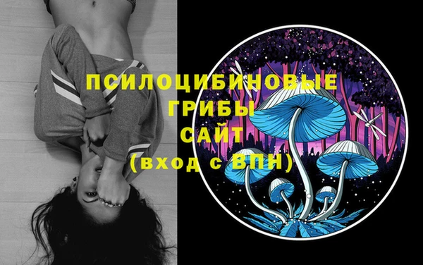 mix Абаза