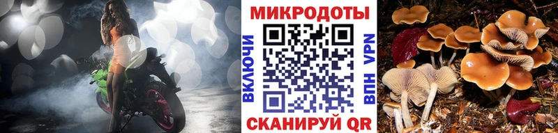 наркотики  Яровое  Псилоцибиновые грибы Cubensis 